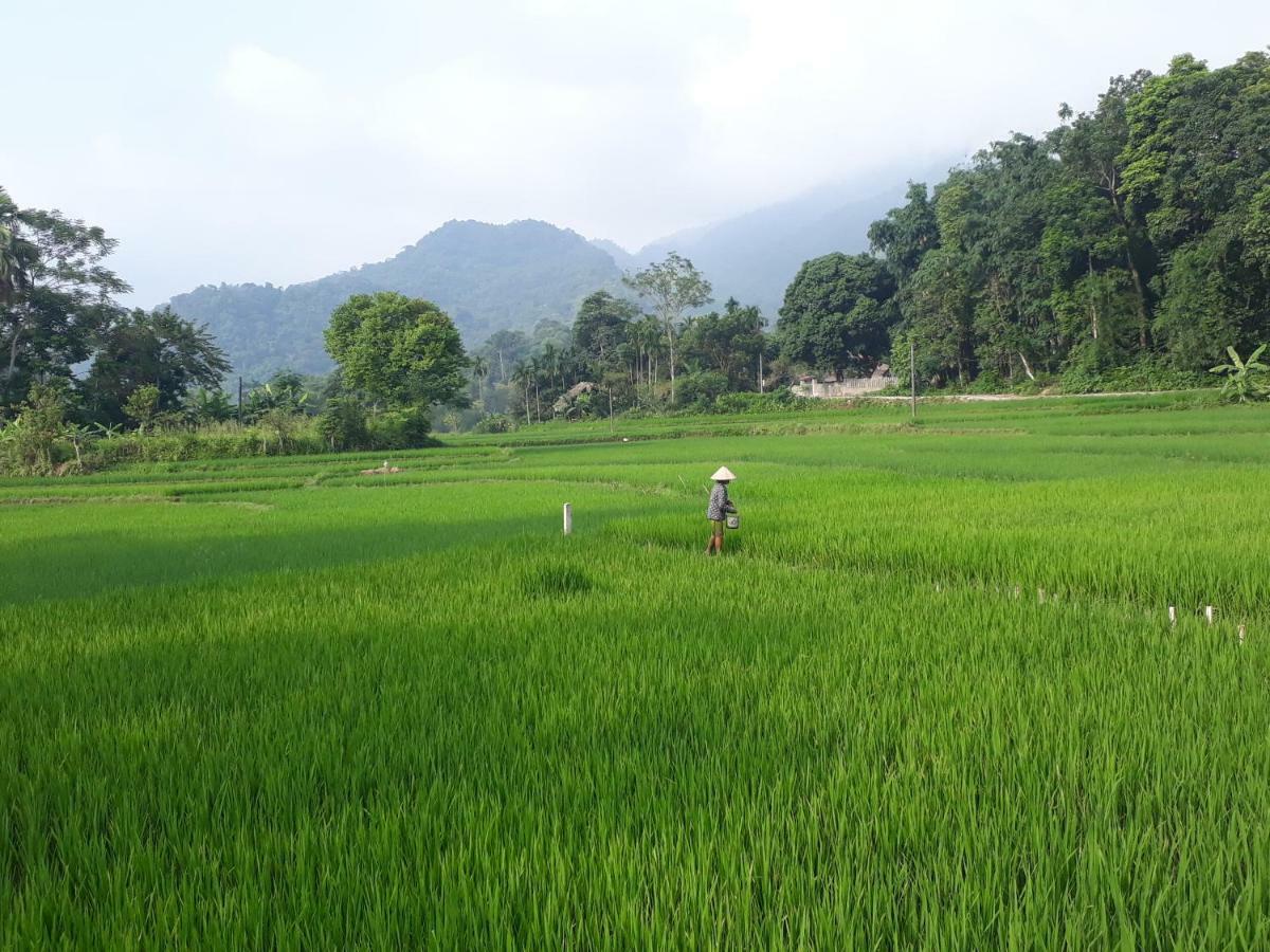 Ha Giang Faithien Homestay Exterior foto